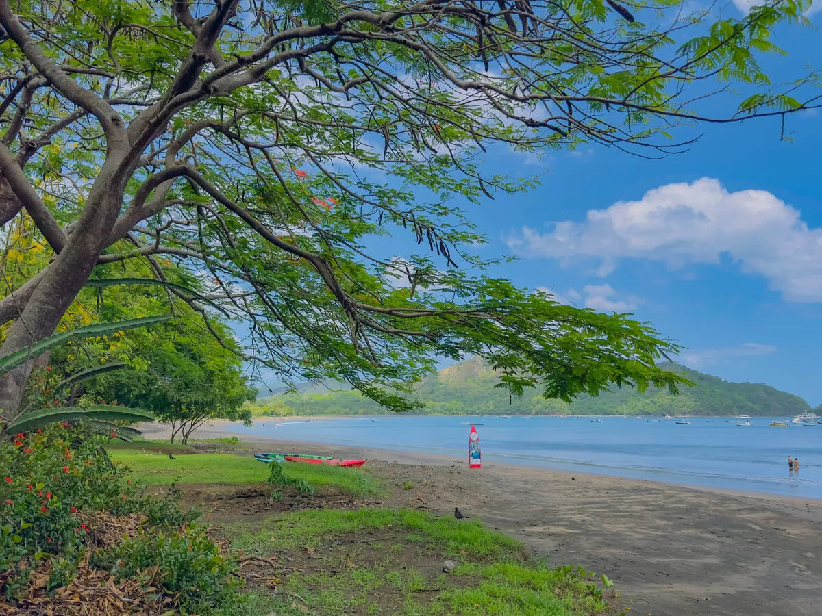 Aurea Coco – Prime Beachfront Lot in Playas del Coco