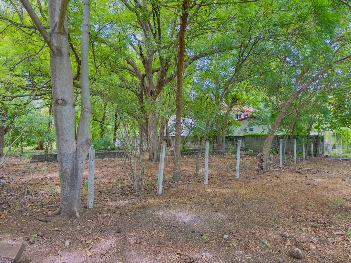 Aurea Coco – Prime Beachfront Lot in Playas del Coco