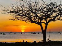 Pacífico L1213 – Stylishly Renovated Condo with Spectacular Sunsets thumbnail