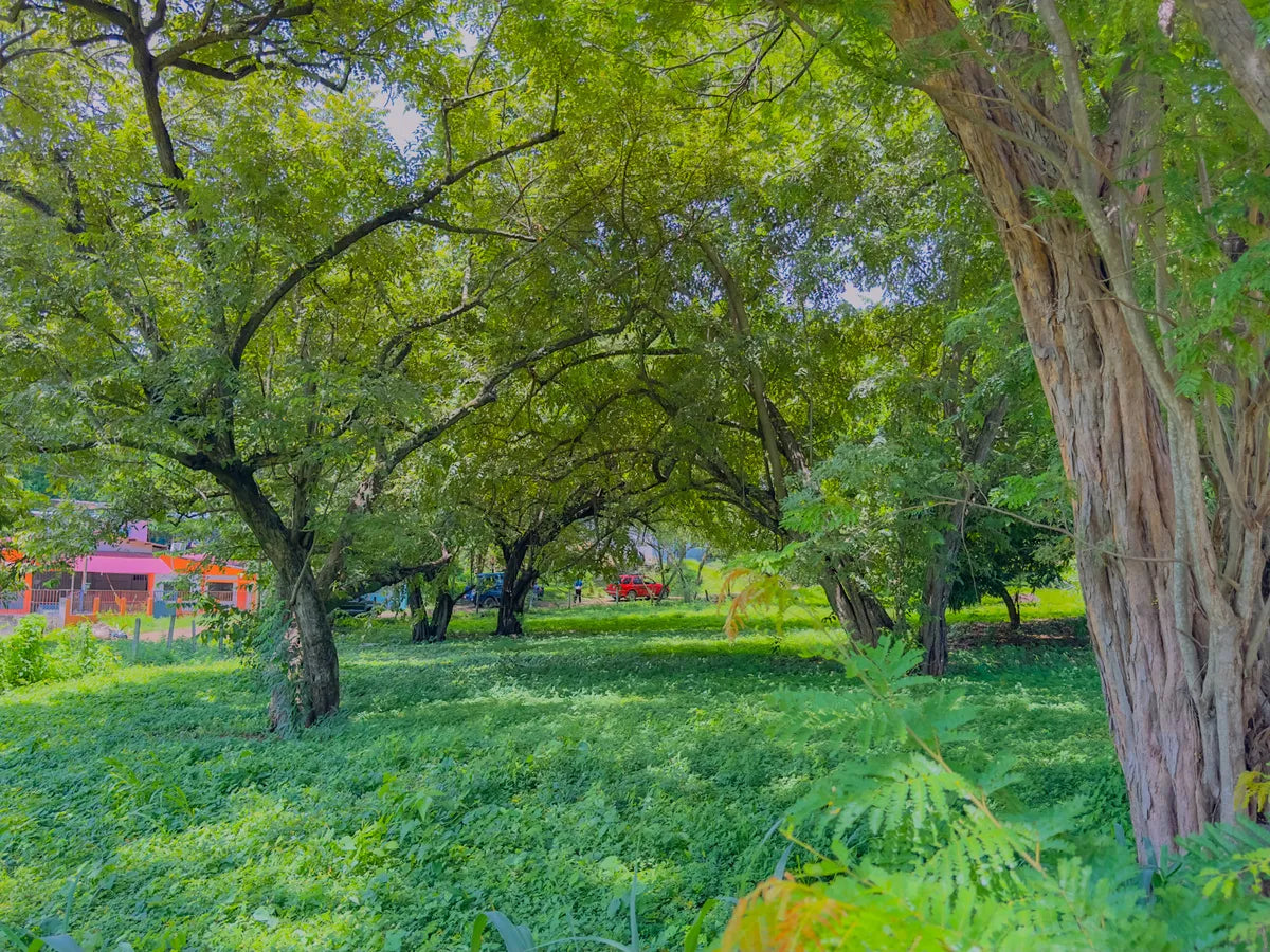 Triángulo Malakita Lot – West Side of Playas del Coco