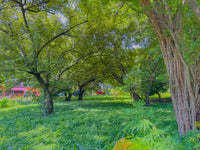 Triángulo Malakita Lot – West Side of Playas del Coco thumbnail