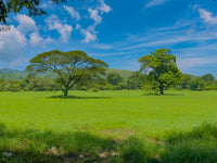Finca Pilas: 6.67-Hectare Property Close to Sardinal and Playas del Coco thumbnail