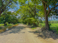 Finca Pilas: 6.67-Hectare Property Close to Sardinal and Playas del Coco thumbnail
