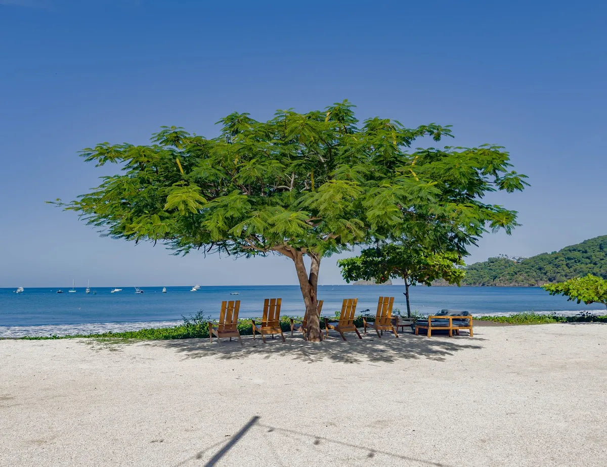 Pacifico Lot 132 | Prime Ocean View Land in Gated Community