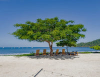 Pacifico Lot 132 | Prime Ocean View Land in Gated Community thumbnail