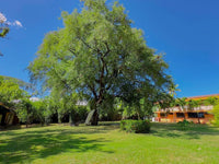 Mangos Beachfront – 1.29 Acre (5,238 m²) Development or Luxury Homesite in Playas del Coco thumbnail