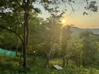 W Residences Lot #9 thumbnail
