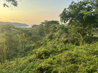 W Residences Lot #9 thumbnail