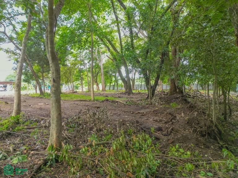 Playa Potrero Homesite – Prime Land Opportunity Near Costa Rica’s Pacific Coast