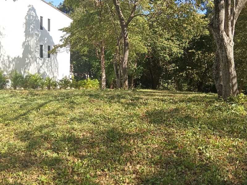 Prime Pacifico Corner Lot for Sale – Price Improvement