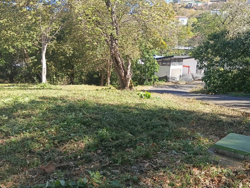 Prime Pacifico Corner Lot for Sale – Price Improvement