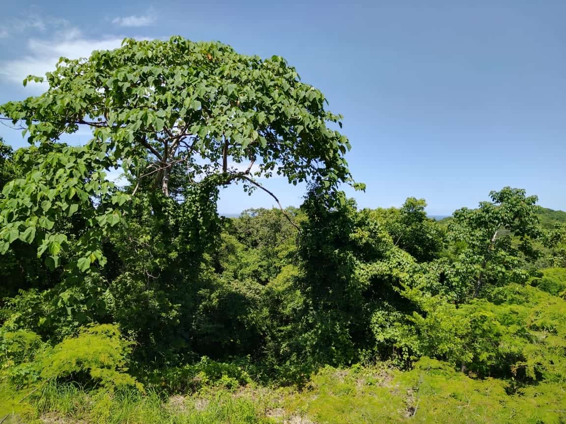Lot #47 at Posada del Sol: Prime Residential Opportunity