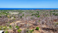 Finca Los Pargos Lot – Oceanview Lot with Water! thumbnail