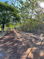 Ocean View Lot Near Playa Grande – Prime Location thumbnail