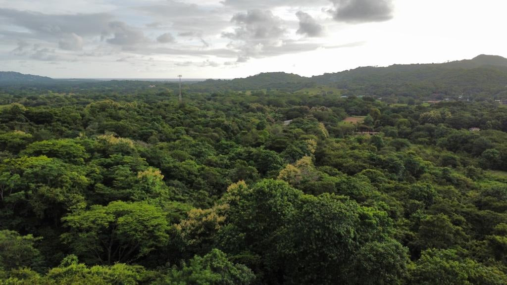 Ocean View Lot Near Playa Grande – Prime Location