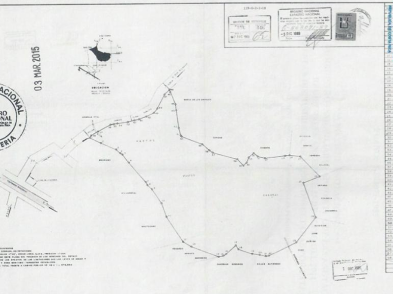Large Teak Farm Investment Opportunity in Nicoya