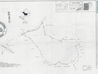 Large Teak Farm Investment Opportunity in Nicoya thumbnail