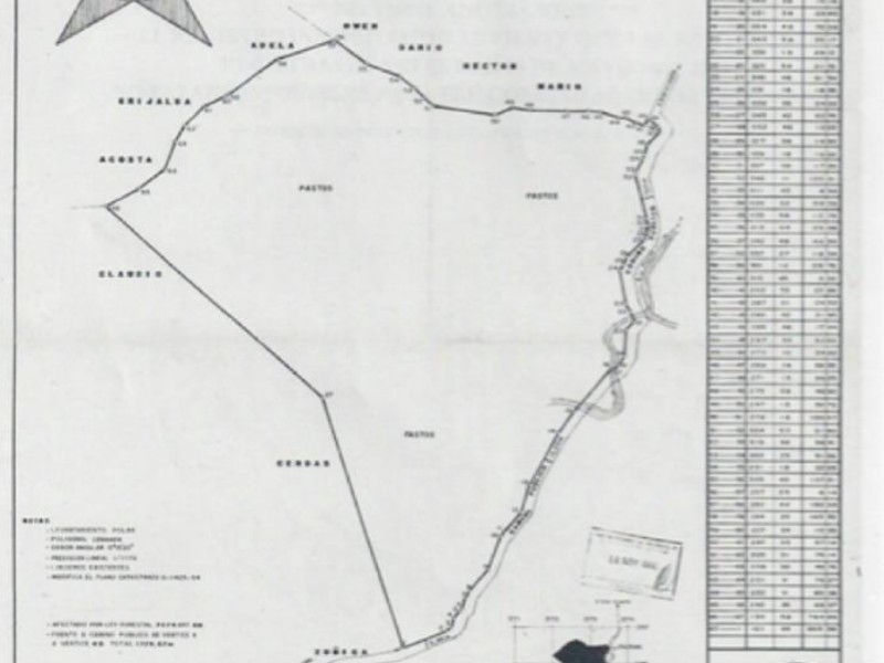 Large Teak Farm Investment Opportunity in Nicoya