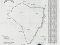 Large Teak Farm Investment Opportunity in Nicoya thumbnail