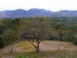 Rancho Cartagena Gated Community thumbnail
