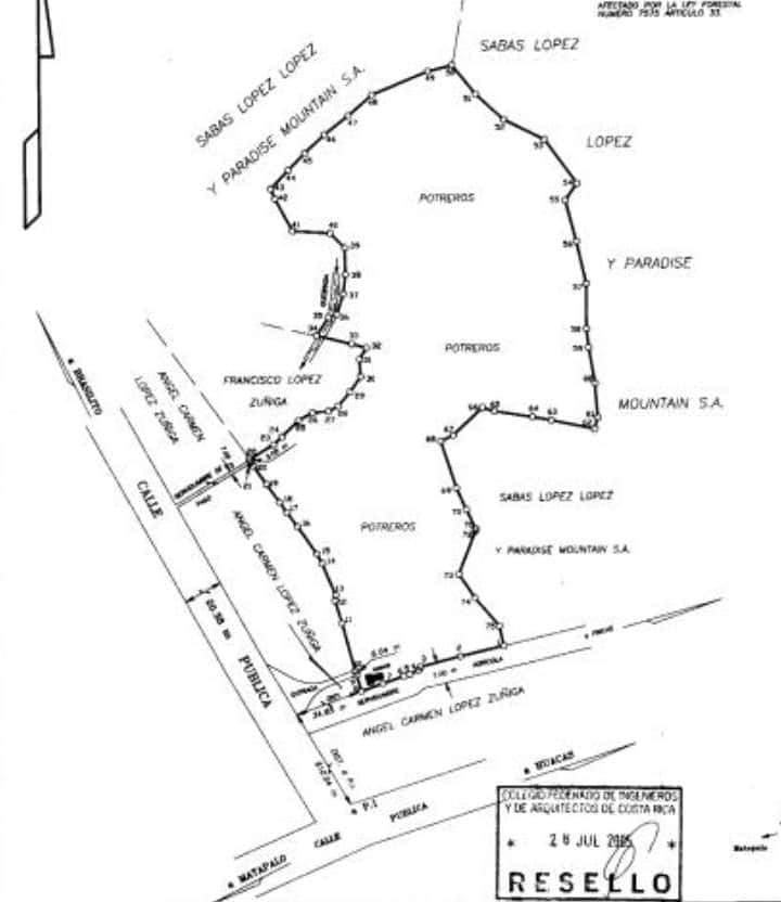 29 Hectares (71.6 Acres) – Prime land located directly on Public Road Huacas