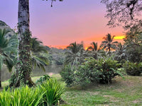 Hacienda Tres Cepas is a sprawling 1,666-hectare estate located in Alajuela thumbnail