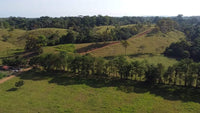 Hacienda Tres Cepas is a sprawling 1,666-hectare estate located in Alajuela thumbnail