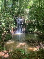 Hacienda Tres Cepas is a sprawling 1,666-hectare estate located in Alajuela thumbnail