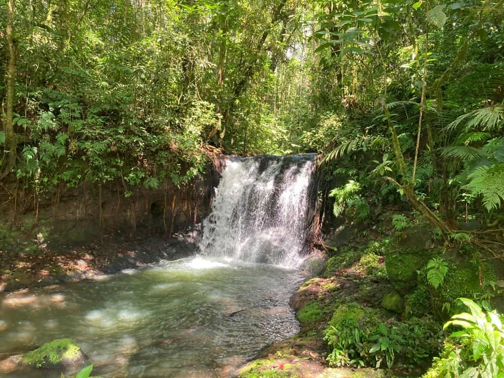 Hacienda Tres Cepas is a sprawling 1,666-hectare estate located in Alajuela