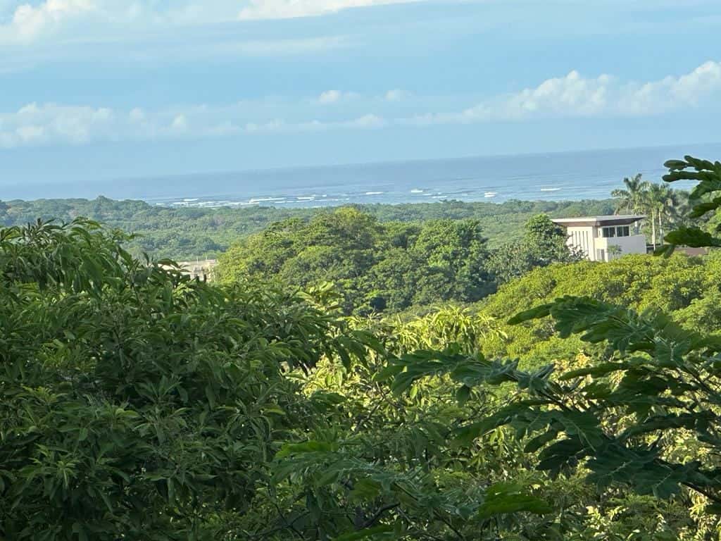 560 m² Lot for Sale in Tamarindo
