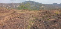 Expansive 5,000m² Lot with Panoramic Ocean Views in Flamingo Beach thumbnail