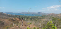 Expansive 5,000m² Lot with Panoramic Ocean Views in Flamingo Beach thumbnail