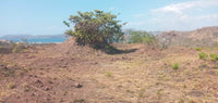 Expansive 5,000m² Lot with Panoramic Ocean Views in Flamingo Beach thumbnail