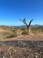 Expansive 5,000m² Lot with Panoramic Ocean Views in Flamingo Beach thumbnail