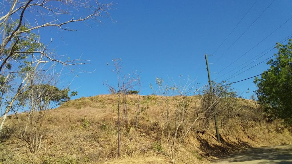 Expansive 5,000m² Lot with Panoramic Ocean Views in Flamingo Beach