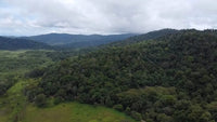 889 Acres Ocean-View Land for Ecotourism & Sustainable Development thumbnail
