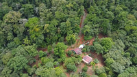 889 Acres Ocean-View Land for Ecotourism & Sustainable Development thumbnail