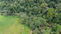 889 Acres Ocean-View Land for Ecotourism & Sustainable Development thumbnail