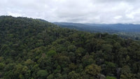 889 Acres Ocean-View Land for Ecotourism & Sustainable Development thumbnail
