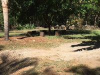 Lot 15 at Pacific Residences thumbnail