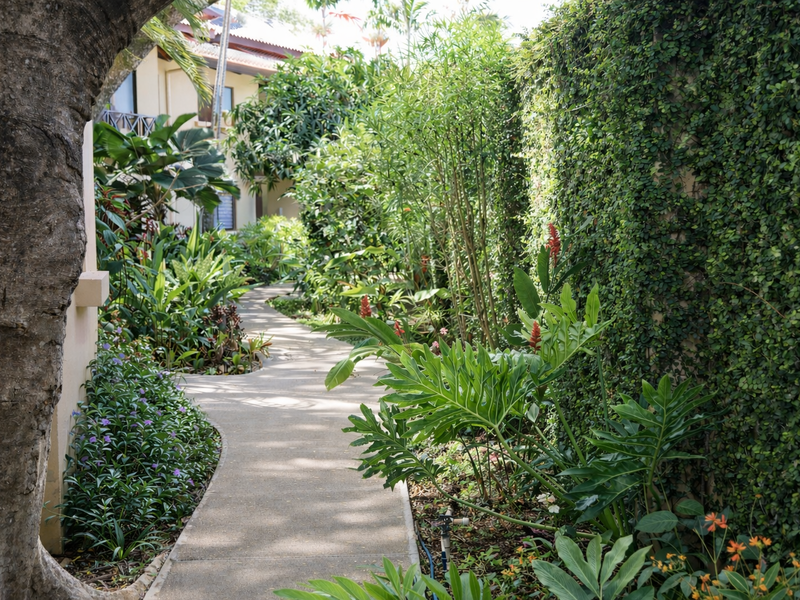 Sombras 501 | 2-Bedroom Condo 100 Meters from the Beach