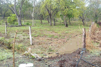 1000 m² Lot in Hernandez Close to Hacienda Pinilla thumbnail