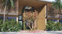 Air Homes: A New Luxurious and Sustainable Gated Community in Tamarindo thumbnail