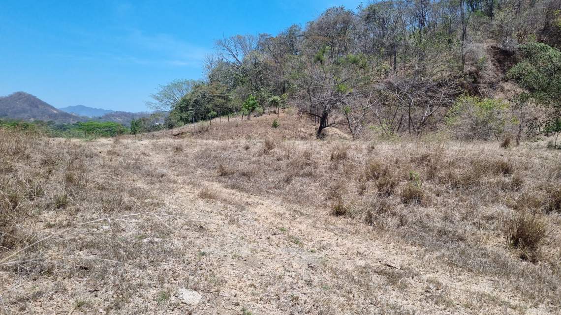 6.1-hectare lot with 140 meters of road frontage