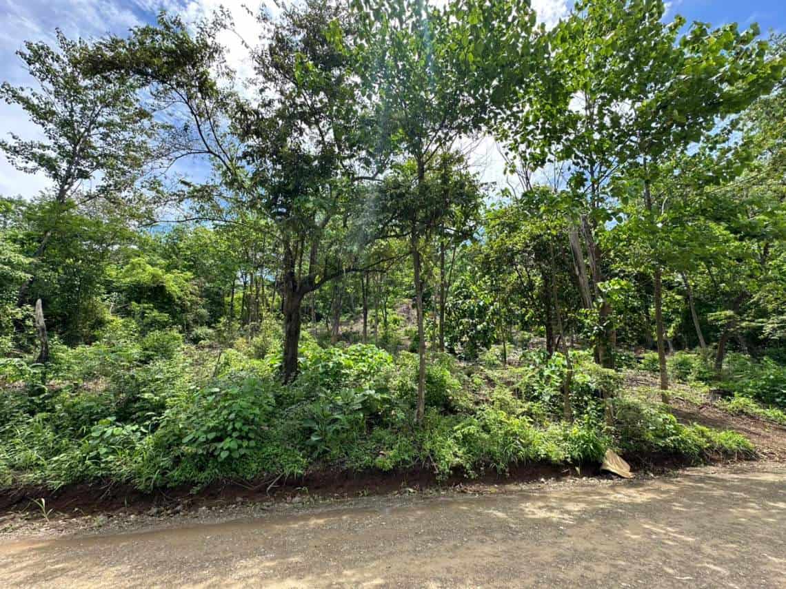 1300m² lot located less than 10 minutes from Playa Grande