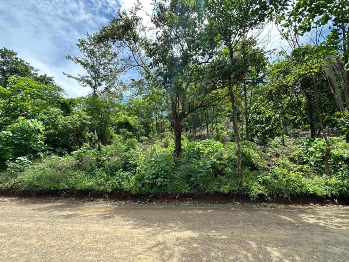 1300m² lot located less than 10 minutes from Playa Grande