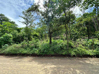 1300m² lot located less than 10 minutes from Playa Grande thumbnail