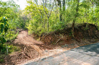 1.38-Acre Lot Just 5 Minutes from Tamarindo thumbnail