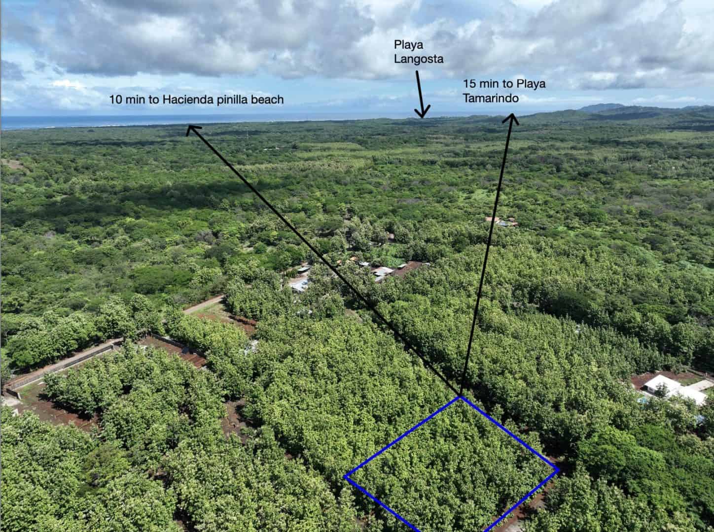 5,000 m² Lot in Altos de Pinilla