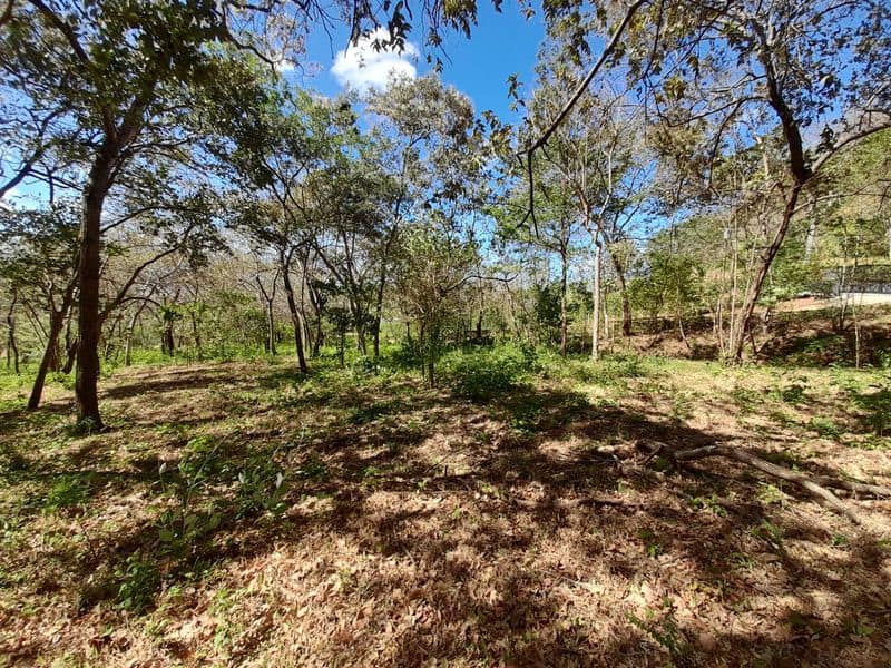 Expansive Country Homesite